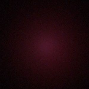 Meet your Posher, Frankie